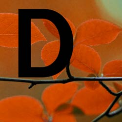 decembre